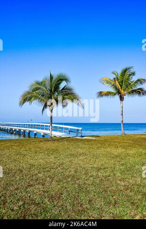 Une vue verticale sereine sur le port de Charlotte d'un quai en bois et des palmiers à Bokeelia, Floride, sur Pine Island, la quintessence de la vieille Floride Banque D'Images