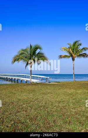 Une vue verticale sereine sur le port de Charlotte d'un quai en bois et des palmiers à Bokeelia, Floride, sur Pine Island, la quintessence de la vieille Floride Banque D'Images