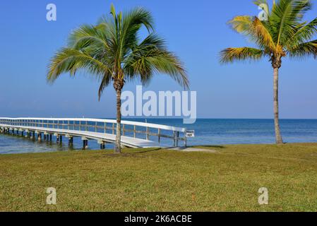 Une vue panoramique sereine sur le port de Charlotte d'un quai en bois et des palmiers à Bokeelia, Floride, sur Pine Island, la quintessence de la vieille Floride Banque D'Images