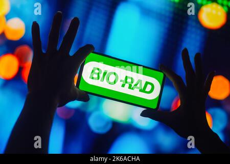 Brésil. 12th octobre 2022. Dans cette illustration, le logo Bio-Rad Laboratories s'affiche sur l'écran d'un smartphone. Crédit : SOPA Images Limited/Alamy Live News Banque D'Images