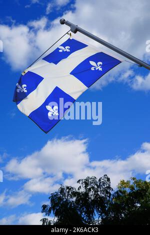 Drapeau bleu et blanc du Québec avec fleurs de nénuphars blanches Banque D'Images