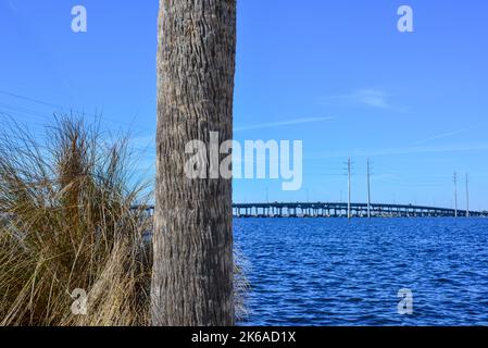 Vue à distance du pont Gilchrist traversant la rivière de la paix entre Port Charlotte et Punta Gorda, en Floride, encadré par le tronc de palmiers et wiregrass Banque D'Images