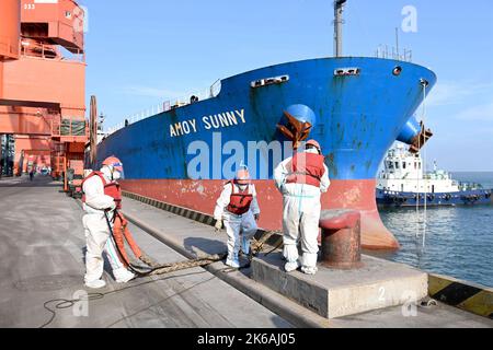 QINGDAO (CHINE) - le 12 OCTOBRE 2022 - les DockWorkers dérouleraient des câbles pour les pois importés au quai à grain du port de Dongjiakou, à Qingdao, dans le port de Shandong, en Chine Banque D'Images