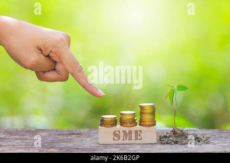 SME WORD WITH BUSINESSMAN HAND POINTING TO STACK OF GOLD COIN Banque D'Images