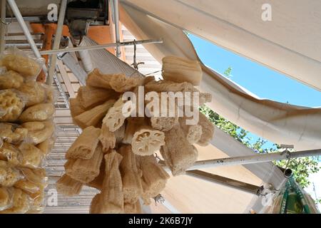 Éponges de mer séchées et suspendues dans un marché. Banque D'Images