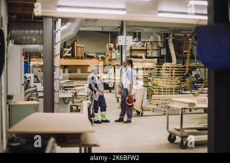 Pleine longueur de menuisiers hommes et femmes discutant en se tenant dans l'entrepôt Banque D'Images