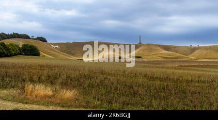 Le cheval blanc de craie et le monument Lansdowne sur Cherhill près de Calne dans la campagne vallonnée de Wiltshire, Angleterre, Royaume-Uni. Banque D'Images