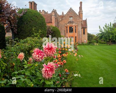 Chenies Manor et jardin entouré de Dahlias colorés en octobre. Dahlia 'Islander' en premier plan avec du rouge, de l'orange avec une longue bordure herbacée. Banque D'Images