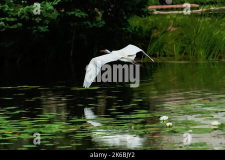 Création numérique de peinture aquarelle d'un Grand Egret ou d'un Grand Héron blanc en vol Banque D'Images