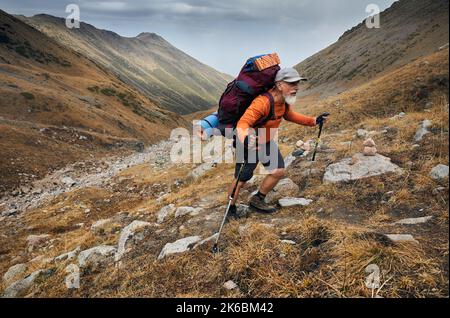 Portrait de l'ancien homme barbu randonneur touristique avec grand sac à dos et des bâtons de trekking marchant contre la vallée de la montagne. Concept extérieur et trekking. Banque D'Images