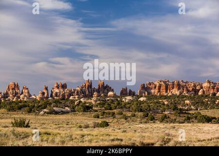 The Needles, Cedar Mesa grès spires dans le quartier Needles du parc national de Canyonlands, Utah. Banque D'Images