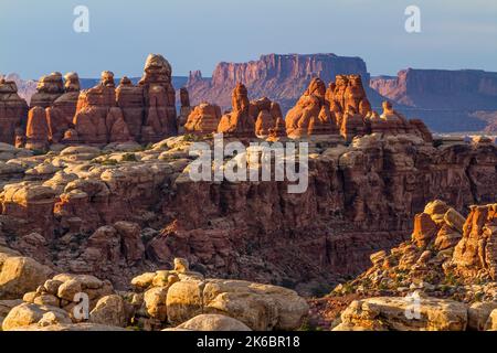 The Needles, Cedar Mesa grès spires dans le quartier Needles du parc national de Canyonlands, Utah. Sortie Butte et l'Islaand dans le Sky Mesa A. Banque D'Images