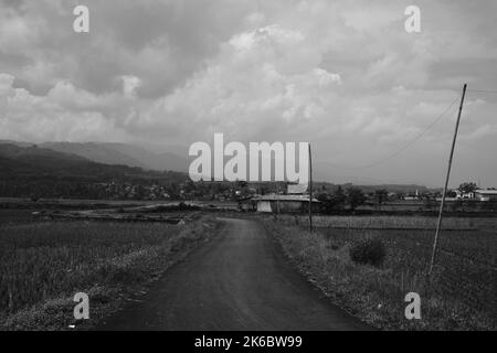 Photo monochrome, vue sur la vaste étendue de rizières sur les pentes de la montagne, Cikancung - Indonésie Banque D'Images