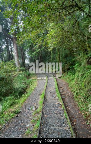 Magnifique sentier historique de Jianqing (Jiancing), chemin de fer forestier de l'aire de loisirs de la forêt nationale de Taipingshan de Taiwan. Banque D'Images