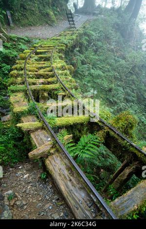 Magnifique sentier historique de Jianqing (Jiancing), chemin de fer forestier de l'aire de loisirs de la forêt nationale de Taipingshan de Taiwan. Banque D'Images