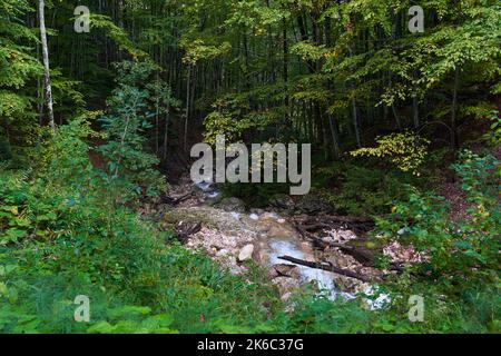 Rapides sur la rivière avec de l'eau qui coule rapidement dans les montagnes après la pluie Banque D'Images