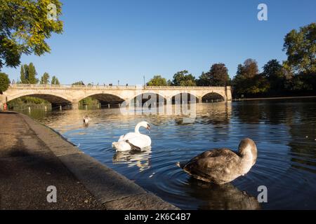 John Rennie's Serpentine Bridge séparant Hyde Park et Kensington Gardens, The Serpentine, Londres, Angleterre, Royaume-Uni Banque D'Images