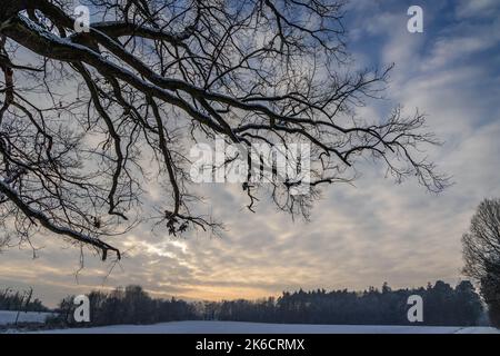 Hiver dans le village de Rogow à Lodzkie Voivodeship de Pologne Banque D'Images