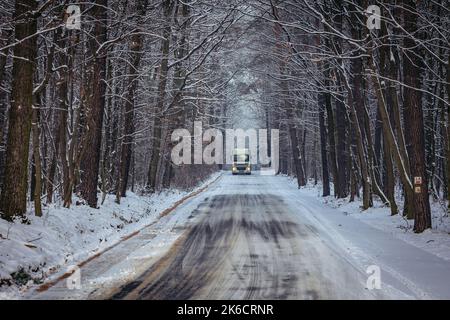 Route couverte de neige en hiver dans le village de Rogow à Lodzkie Voivodeship, en Pologne Banque D'Images