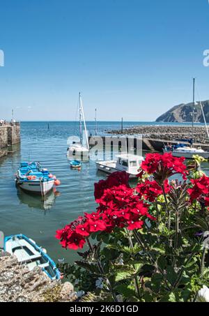 Bateaux dans le port à , Lynmouth, North Devon Banque D'Images