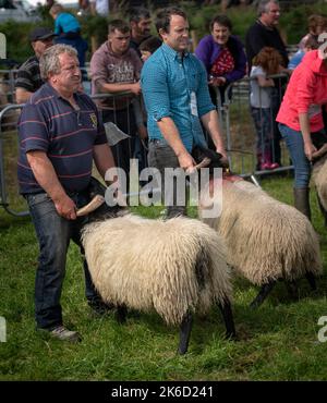 Le salon Bonniconlon et Gymkhana se tiennent chaque année le lundi des fêtes d'août. Banque D'Images