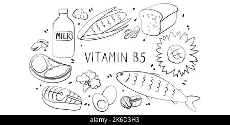 Vitamine B5 acide pantothénique. Groupes de produits sains contenant des vitamines. Ensemble de fruits, légumes, viandes, poissons et produits laitiers Illustration de Vecteur