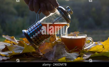 Verser le thé dans une tasse sur le fond du coucher de soleil, avec des feuilles jaunes d'automne. Banque D'Images