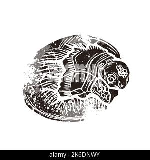 Petite tortue dans l'œuf en linocut style rétro sur blanc Illustration de Vecteur