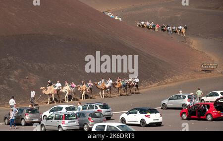 Promenades à dos de chameau, parc national de Timanfaya, Lanzarote, îles Canaries. Plusieurs centaines de chameaux sont gardés dans la région de Timanfaya et utilisés pour fournir une promenade à dos de chameau Banque D'Images