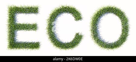 Concept ou herbe verte conceptuelle formant le mot ECO isolé sur fond blanc. 3d métaphore de l'illustration pour la nature, la conservation Banque D'Images