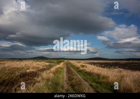 Le vaste pays de Bangor Eris Bog, comté de Mayo, Irlande. Des nuages sombres s'accumulent, la pluie arrive. Banque D'Images