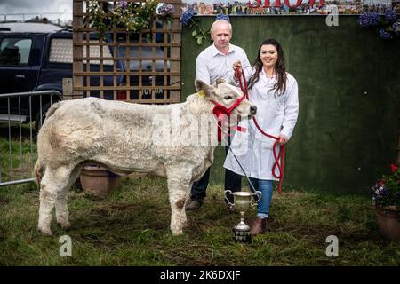 Le salon Bonniconlon et Gymkhana se tiennent chaque année le lundi des fêtes d'août. Banque D'Images