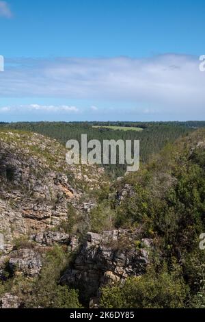 Vue panoramique depuis le sommet d'une montagne d'une zone forestière avec une clairière verdoyante entourée d'arbres lors d'une belle journée ensoleillée. Paysage naturel Banque D'Images