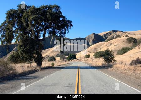 Collines couvertes de chêne et d'herbe sur la Californie route 25. Banque D'Images