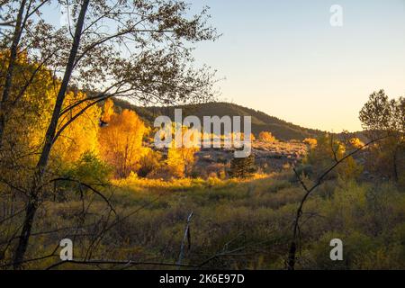 Réserve de Santa Fe Canyon, Nouveau-Mexique, États-Unis, couleurs d'automne, feuilles qui se transforment en jaune à l'automne, octobre Banque D'Images