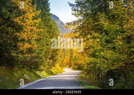 Route de campagne dans les Alpes à l'automne spectaculaire lever du soleil, Karwendel montagnes, Tyrol Banque D'Images