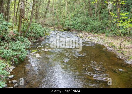 Dingmans Creek, Delaware Water Gap National Recreation Area, Pennsylvanie. Banque D'Images