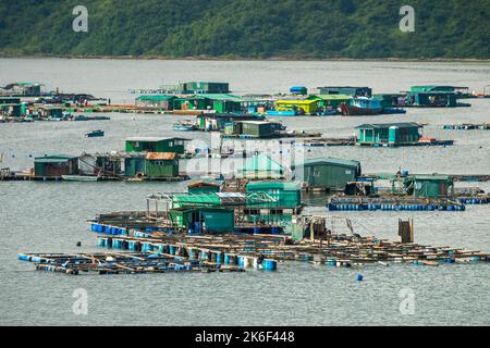 Fermes piscicoles dans trois Fathoms Cove, Sai Kung, New Territories, Hong Kong Banque D'Images