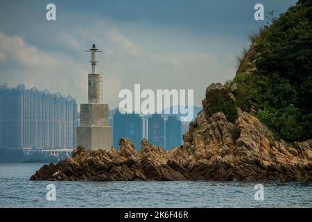 Un héron pêche sous un marqueur à l'entrée de Lo Fu Wat, une petite crique isolée sur la rive nord de Tolo Channel, New Territories, Hong Kong Banque D'Images