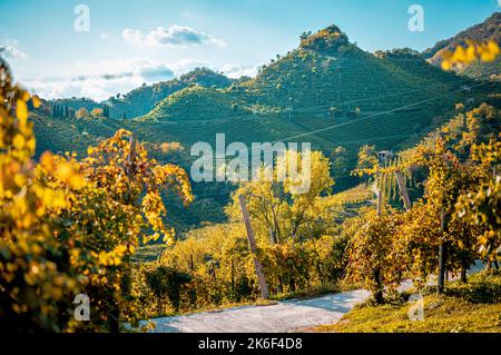 Conegliano Valdobbiadene vignobles et collines en automne. Italie Banque D'Images