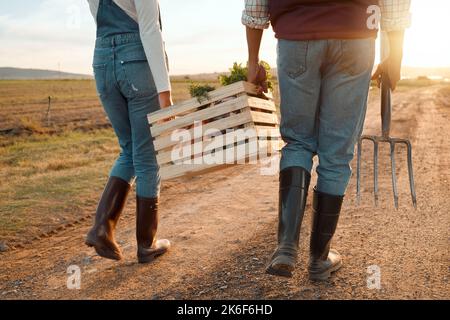 Quelles idées avez-vous pour sauver la terre ? deux agriculteurs méconnaissables portant une caisse sur une ferme. Banque D'Images