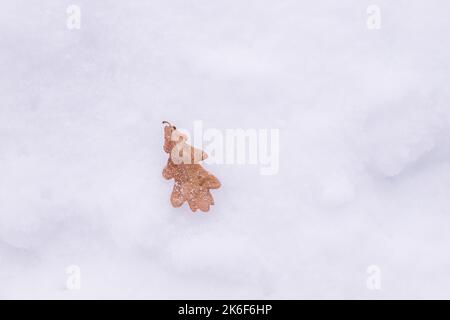 Texture, arrière-plan d'hiver. Feuilles de chêne jaune d'automne sur la première neige. La feuille sèche repose sur la neige moelleuse, sur le sol.concept de changement de saison. copier Banque D'Images