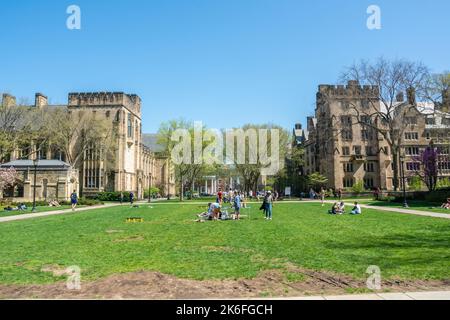 New Haven, Connecticut, États-Unis d'Amérique – 28 avril 2017. Cour dans le campus Cross de l'université de Yale à New Haven, CT. Vue vers Bas Banque D'Images