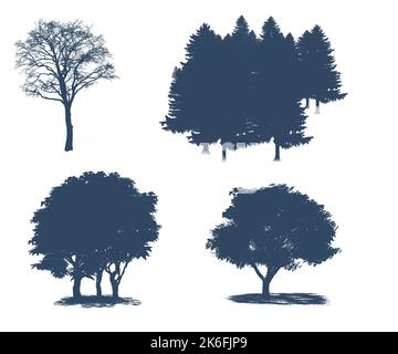 Ensemble décoratif avec arbres et forme d'arbre. Tracé de contour avec arbre et forêt. Banque D'Images