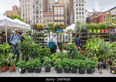 New York, États-Unis d'Amérique – 6 mai 2017. Étals de fleurs et de plantes à l'Union Square Greenmarket de New York. Situé à Union Banque D'Images