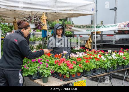 New York, États-Unis d'Amérique – 6 mai 2017. Stand de fleurs et de plantes avec des gens à l'Union Square Greenmarket à New York. Emplacement Banque D'Images