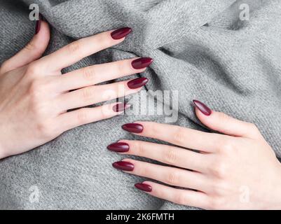 Belles mains d'une jeune femme avec manucure rouge foncé sur les ongles. Automne hiver design des ongles concept de traitement de beauté. Banque D'Images