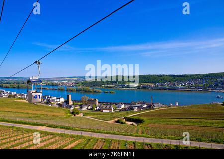 Remontée mécanique au-dessus du vignoble vert à Ruedesheim, Rheinland-Pfalz, Allemagne. Banque D'Images