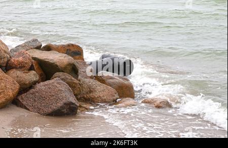 Pipe noire avec l'eau versée dans la mer, pollution de plage - impact de l'industrie touristique sur le littoral naturel Banque D'Images