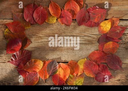 Arrière-plan de l'automne. Cadre. Copier l'espace. Feuilles rouges et orange provenant d'arbres sur un fond en bois. Feuille d'aulne. Banque D'Images